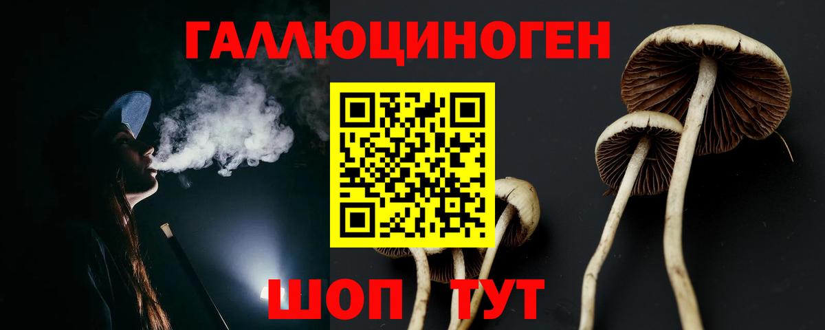 Галлюциногенные грибы Psilocybine cubensis Псков