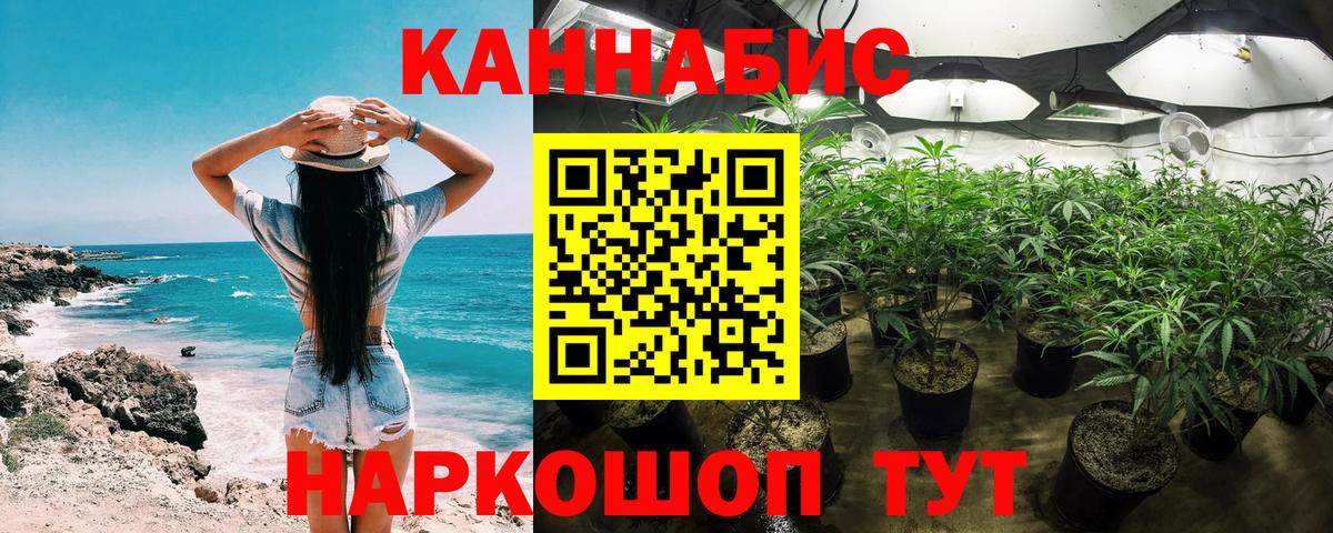 Бошки Шишки ГИДРОПОН  Вход с VPN  Бошки Шишки семена  Псков  Канабис THC 21% 